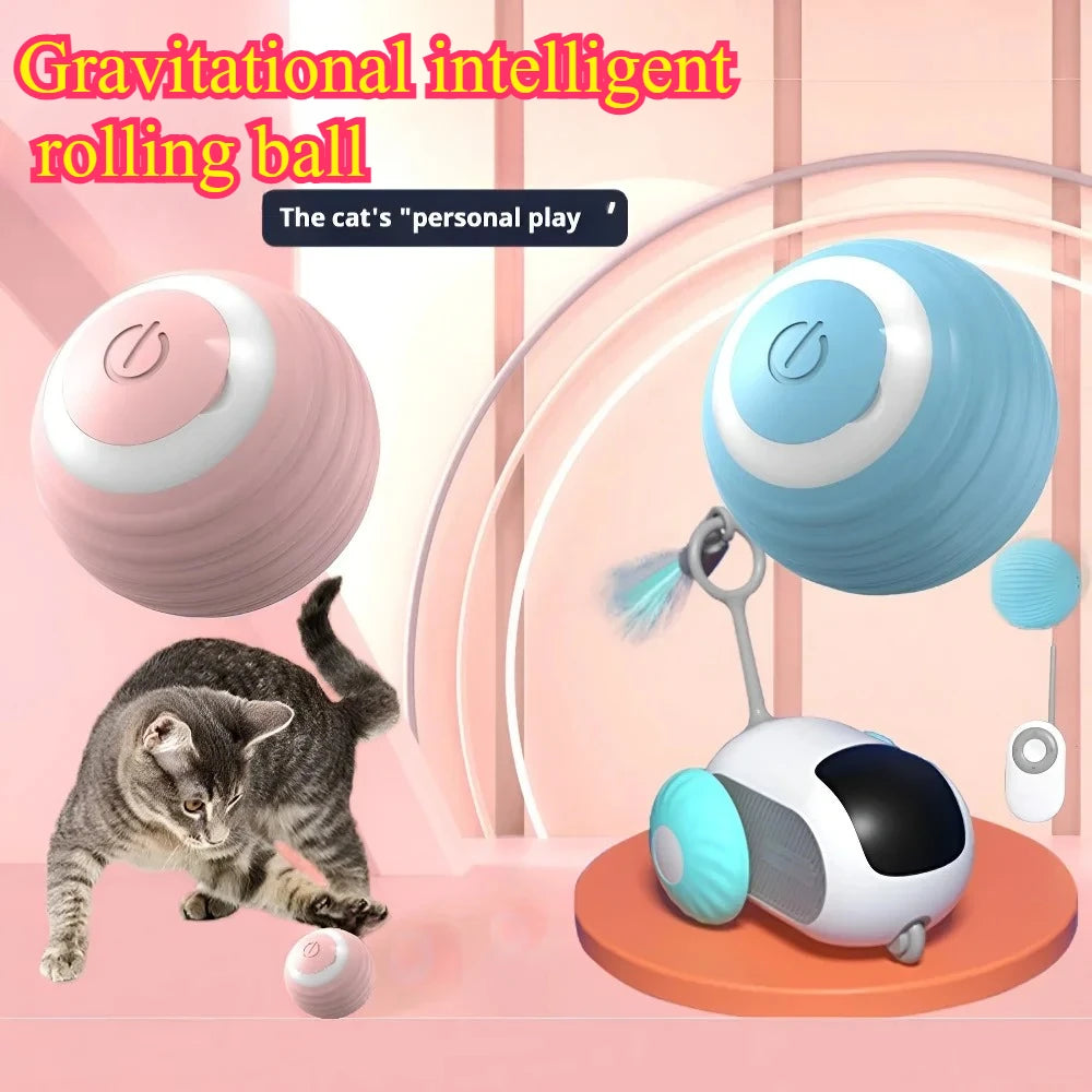 Pet Interactive Ball