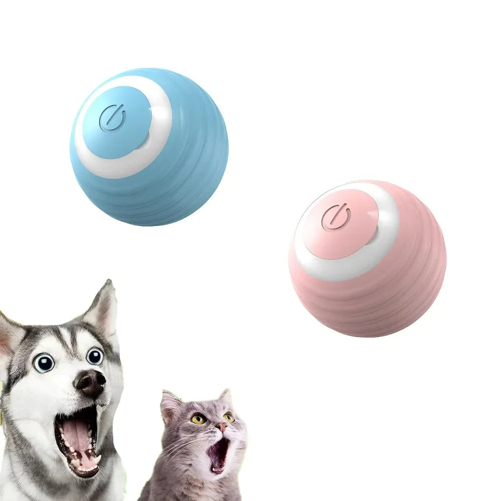 Pet Interactive Ball